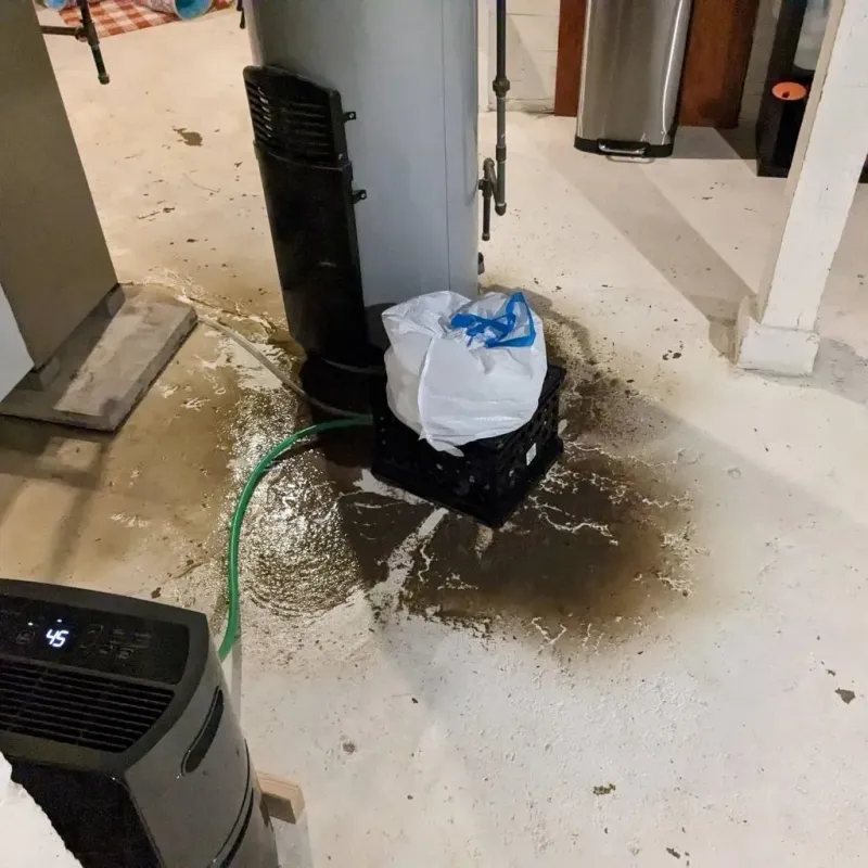 Sewage Backup Cleanup Service in Stanhope, NJ